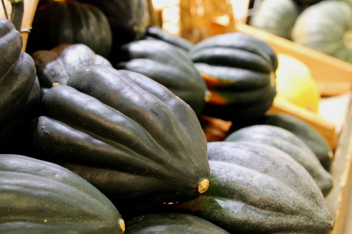 Acorn squash and black bean empanadas