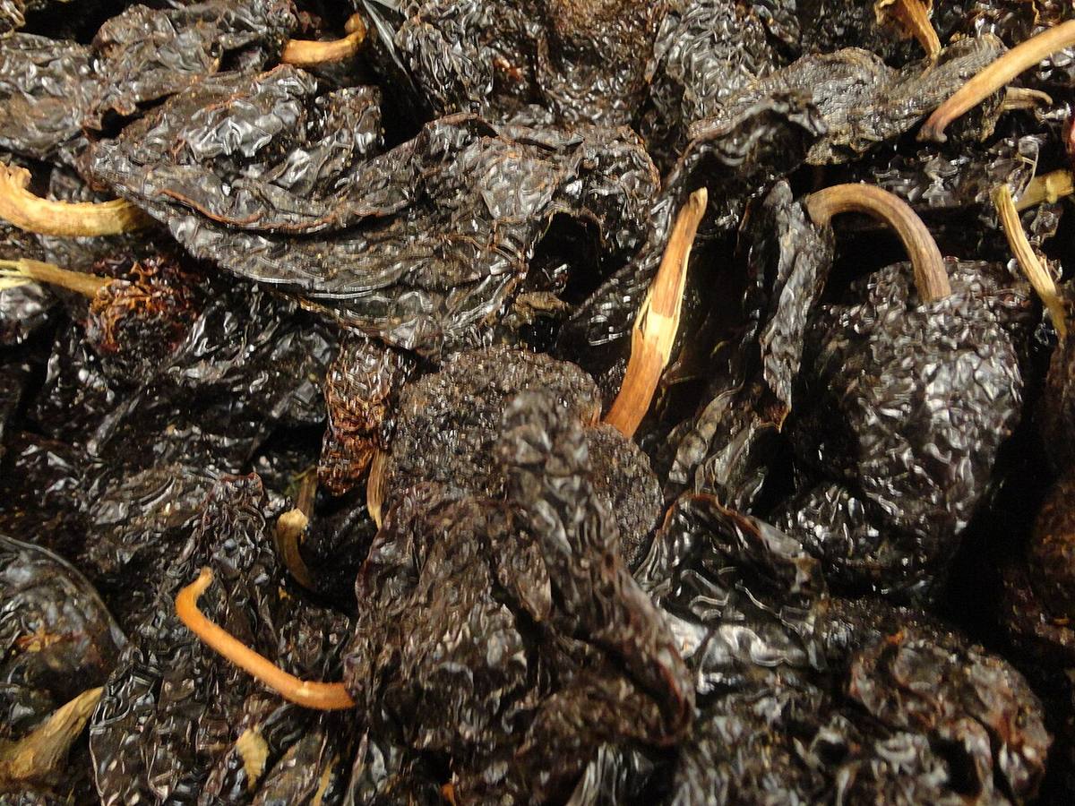 Mina de Chuquicamata, Calama, Chile, 2016-02-01, DD 110-112 PAN (Ancho Chiles)