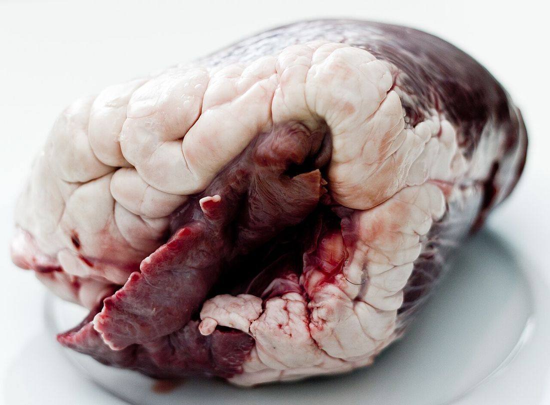 Beef Heart — photograph from Wikimedia Commons