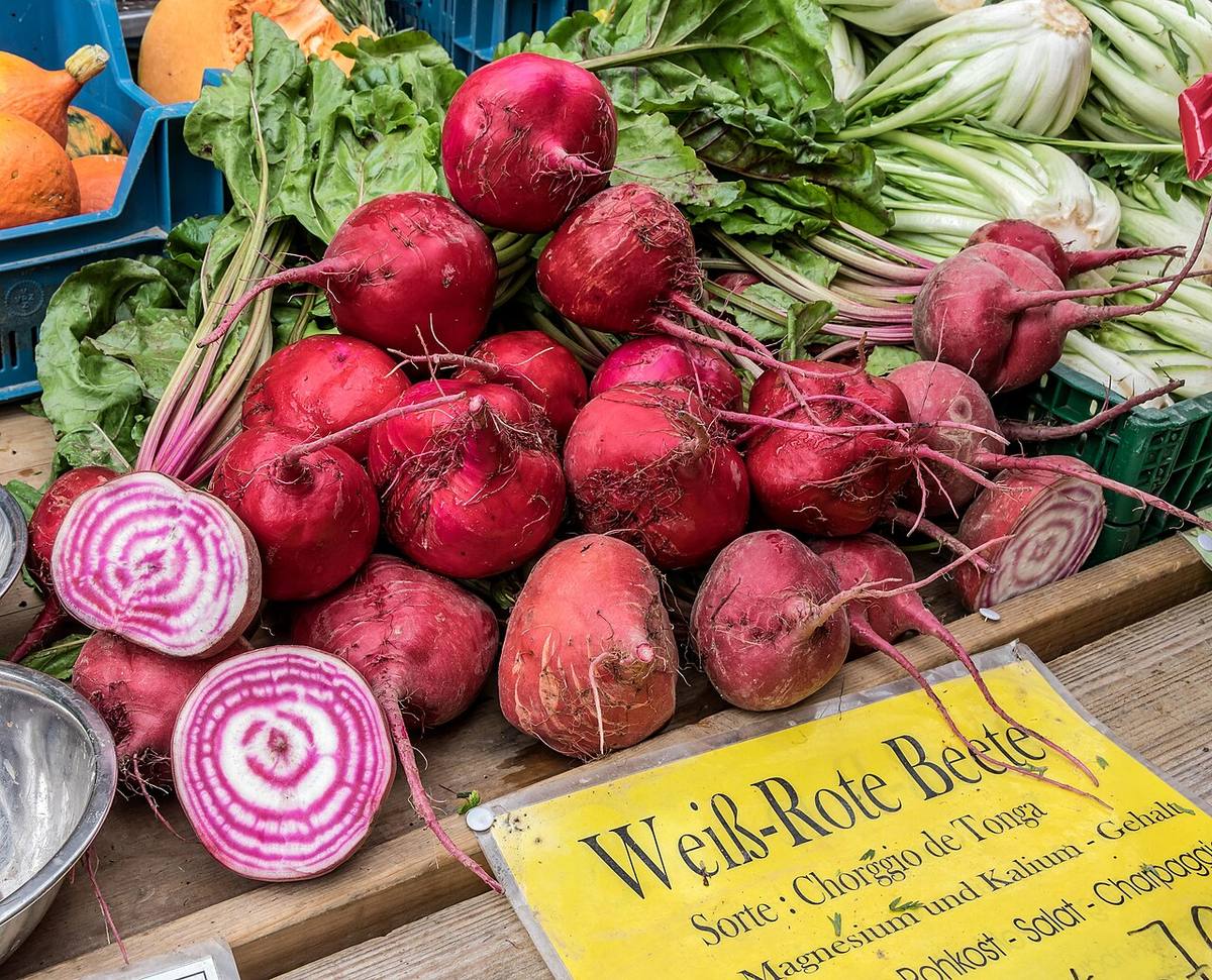 Beetroot jm27942 (Beet Greens)