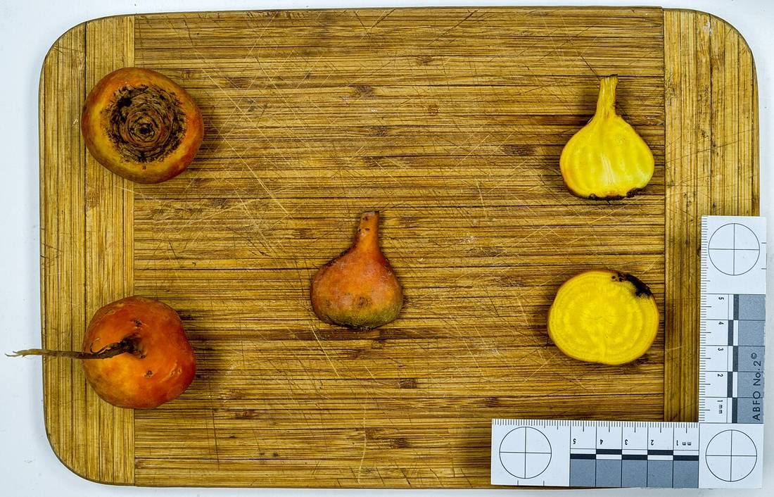 Beetroot jm27942 (Beets)