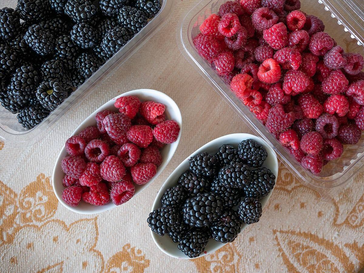 Blackberries — photograph from Wikimedia Commons