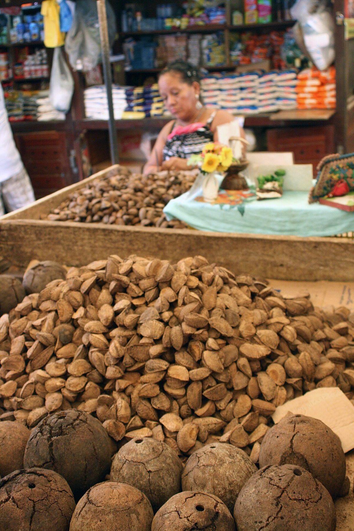 Brazil Nuts (28328735572) (Brazil Nuts)
