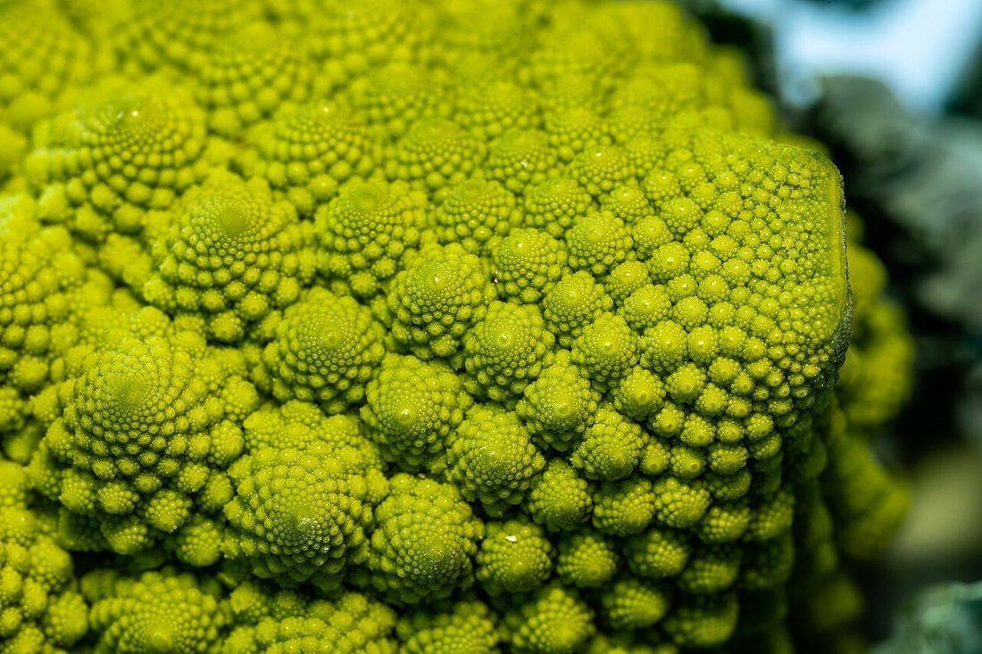 Romanesco -- 2021 -- 5768 (Broccoflower)