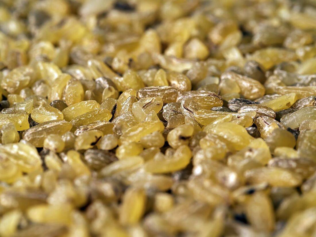 Bulgur close-up