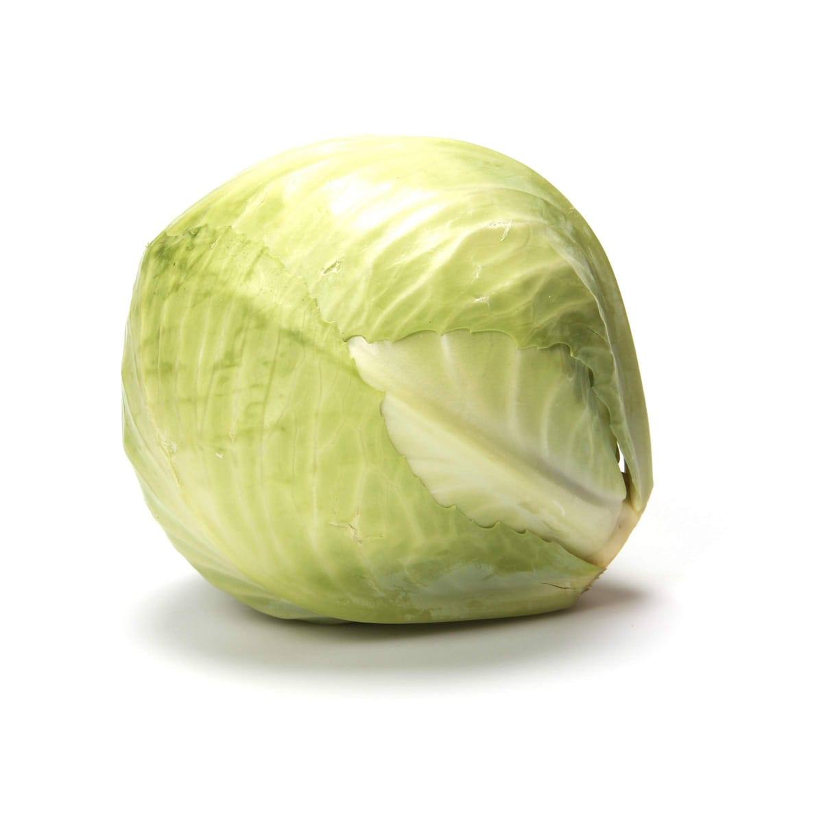 Fresh Cabbage