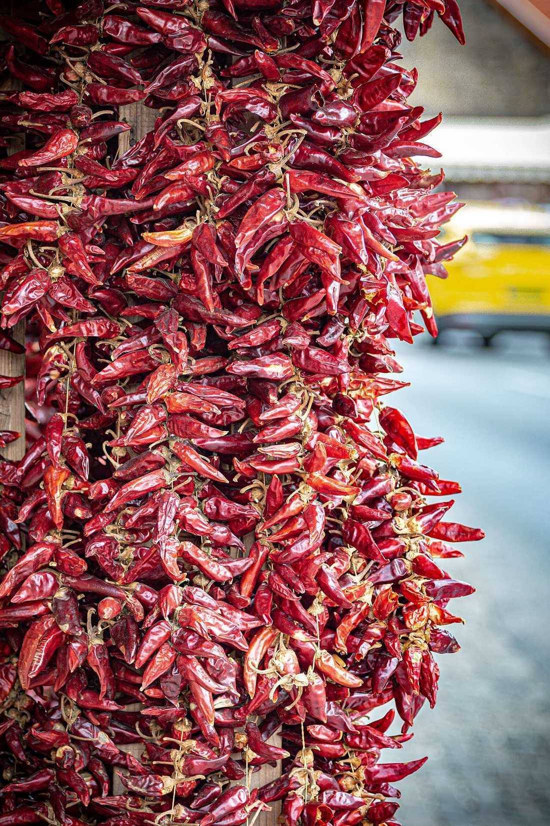 Dry hot pepper in Tihany, Hungary (Calabrian Chiles)