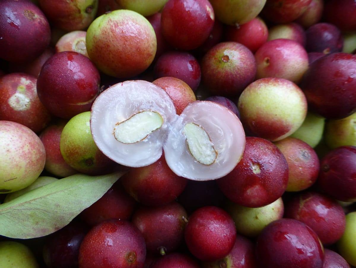 Fresh camu camu