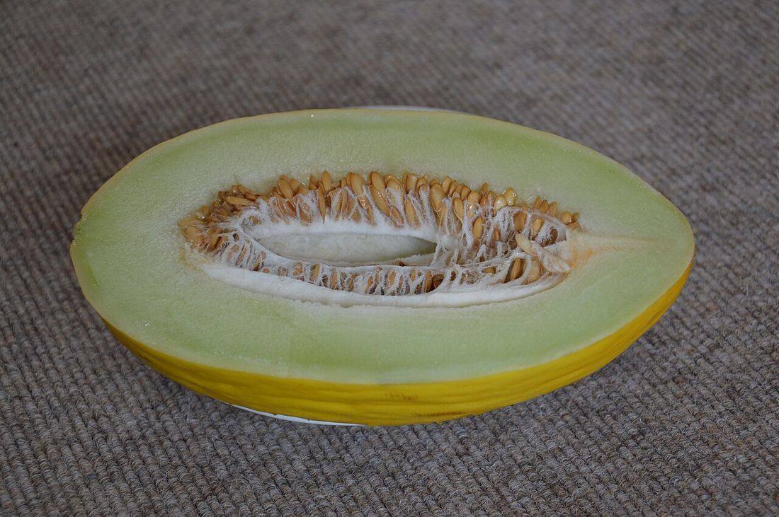 Canary melon (cut)