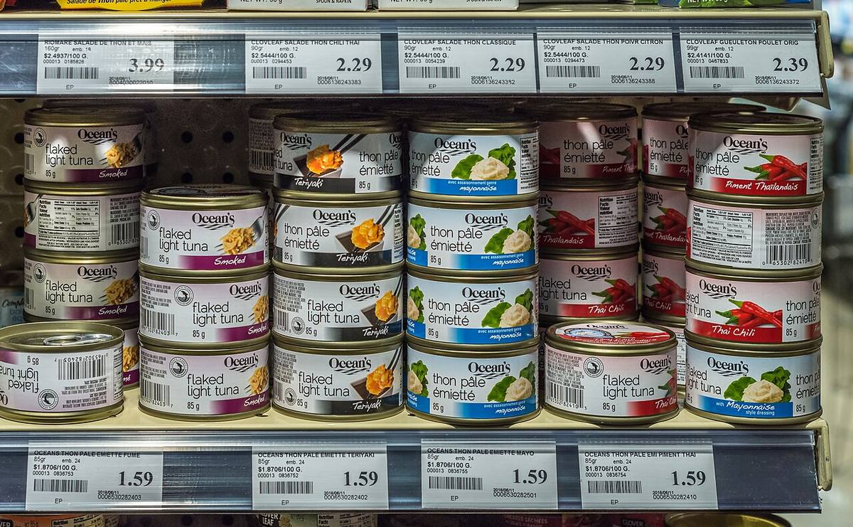 Empty tuna can used as ashtray (-25wiki) (Canned Tuna)