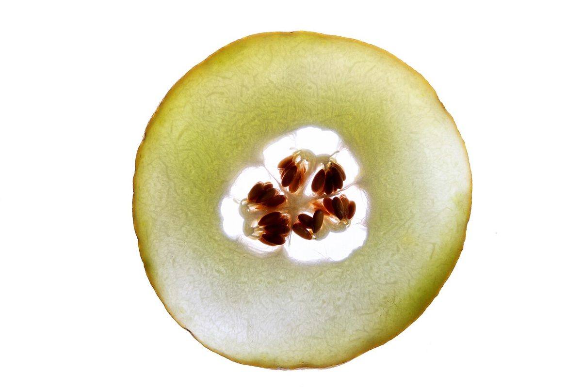Cantaloupe been cut (Cantaloupe)