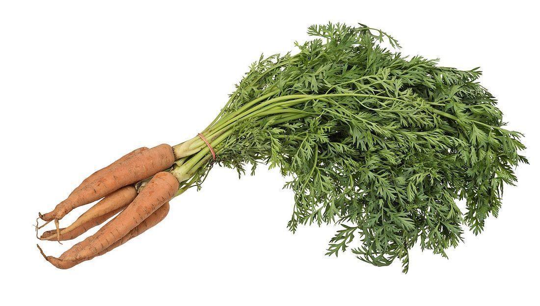 Vegetable-Carrot-Bundle-wStalks (Carrot Greens)