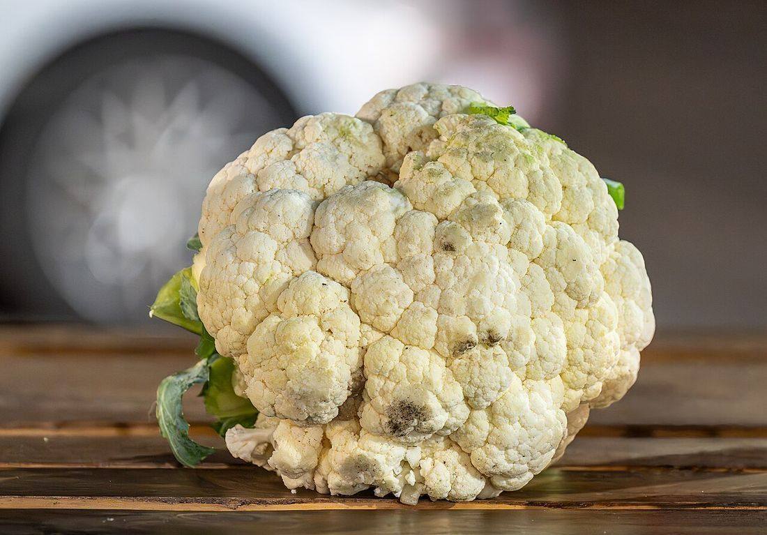 Brassica oleracea var. botrytis (Coliflor) (Cauliflower)