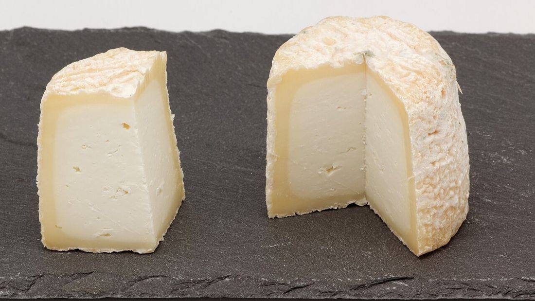 Chabichou du Poitou 04