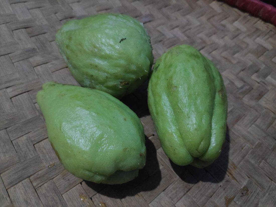 Chayote 2