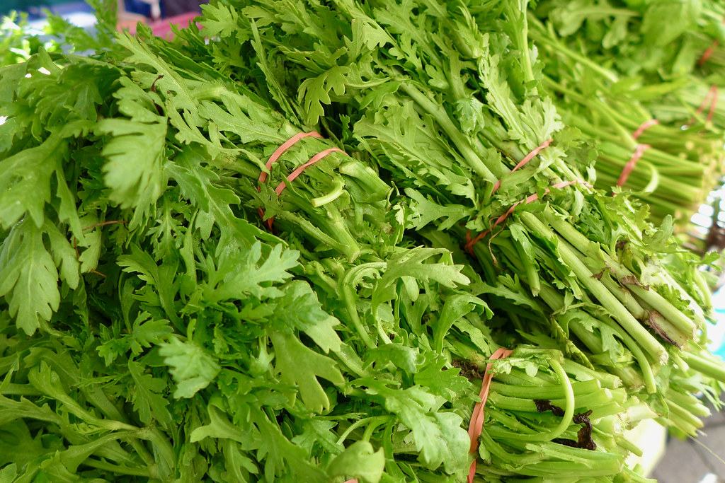 Chrysanthemum Greens - photograph from Flickr