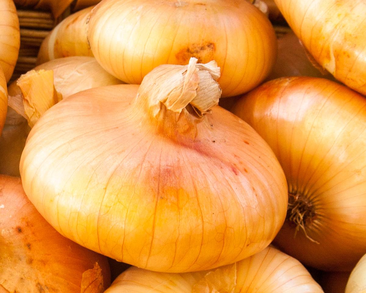 Vinoteca, Smithfield, London (Cipollini Onions)