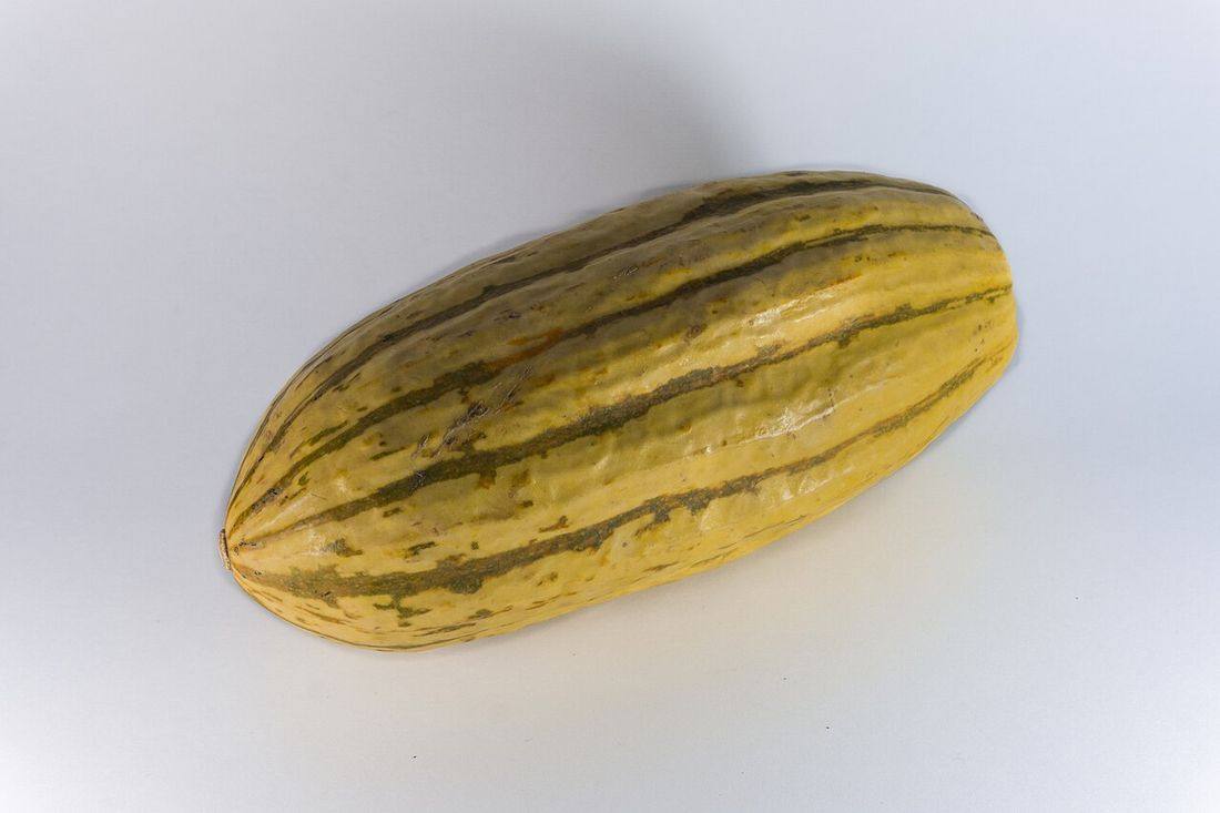Delicata Squash — photograph from Wikimedia Commons