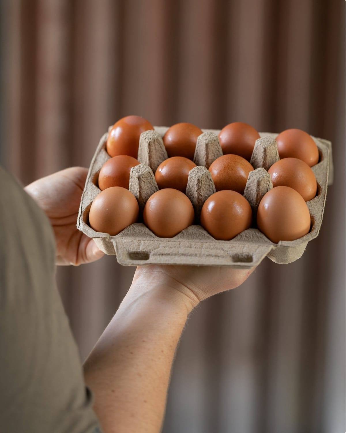 Brown chicken eggs in a carton