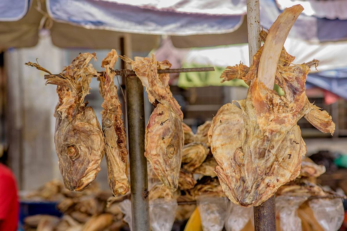 Dried stock fish (Fish Stock)
