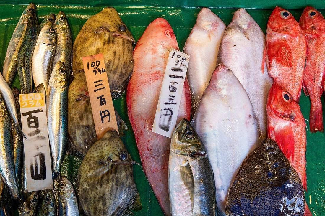 Fish lined up at a fresh fish store at Tezukayama, Osaka, Japan, February 2024 - 7017 (Fresh Sardines)