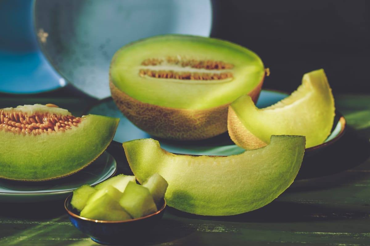 Fresh galia melon