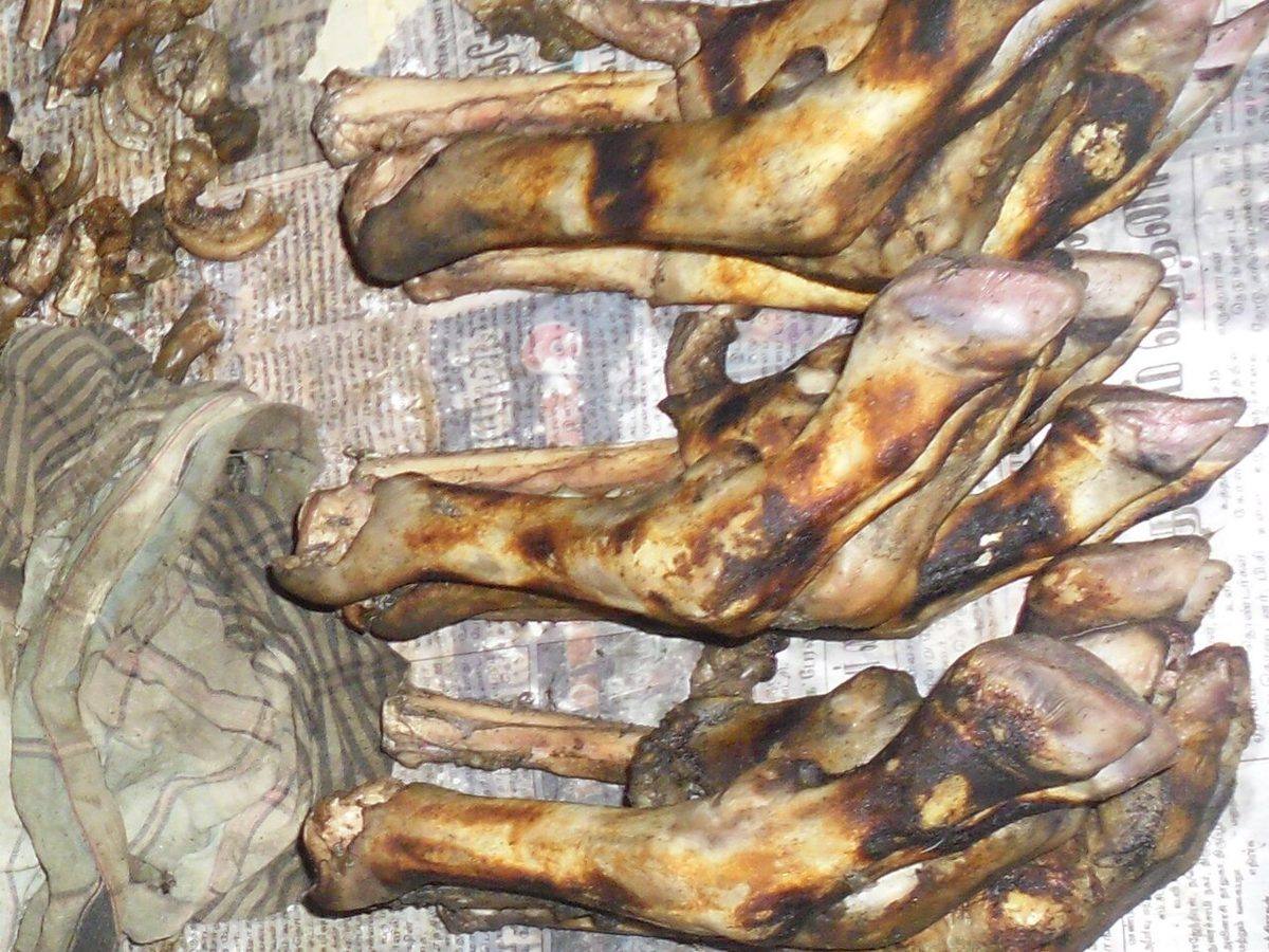 Goat legs for sale (Goat Leg)