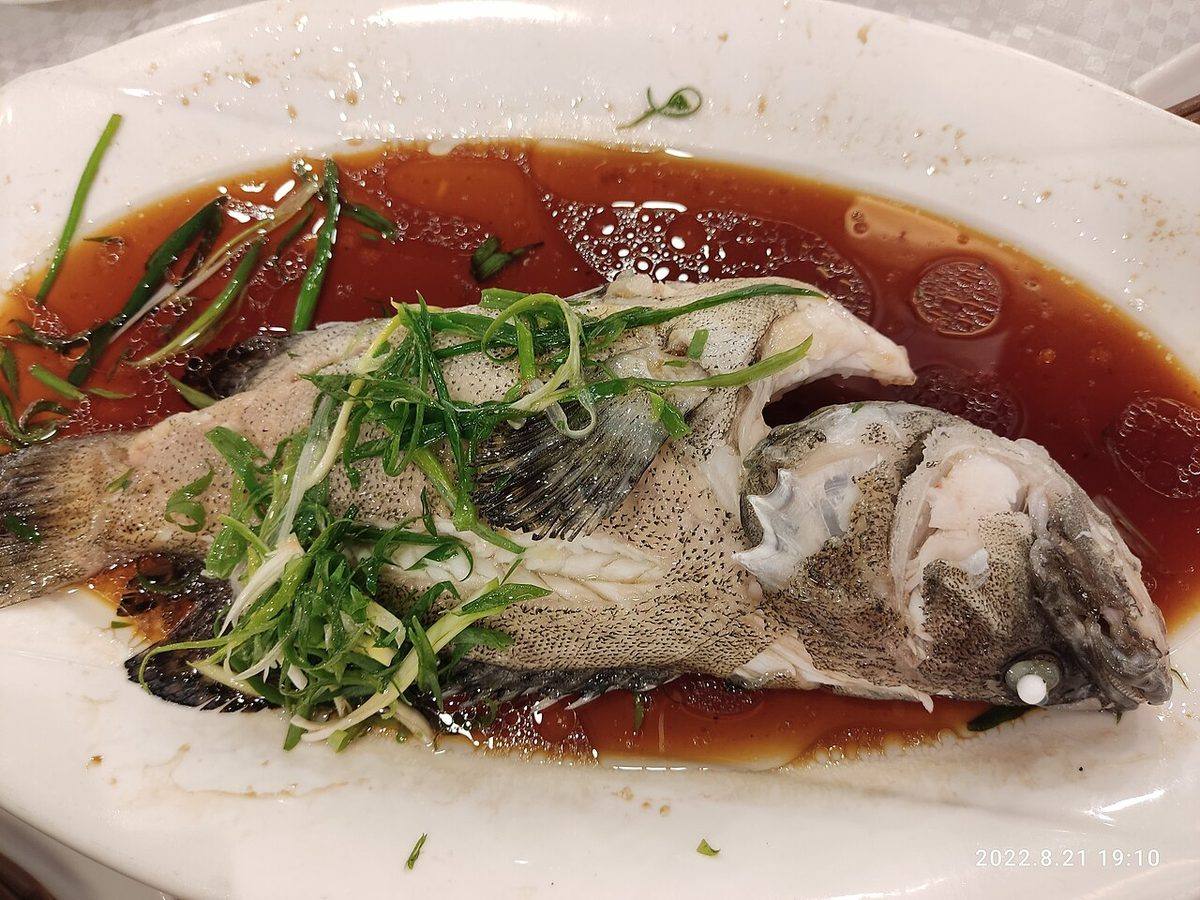 HK SYP 西環 Sai Ying Pun 明星海鮮酒家 Star Seafood Restaurant diner food 清蒸沙巴龍躉仔 Steamed Sabah Giant Grouper (Grouper)