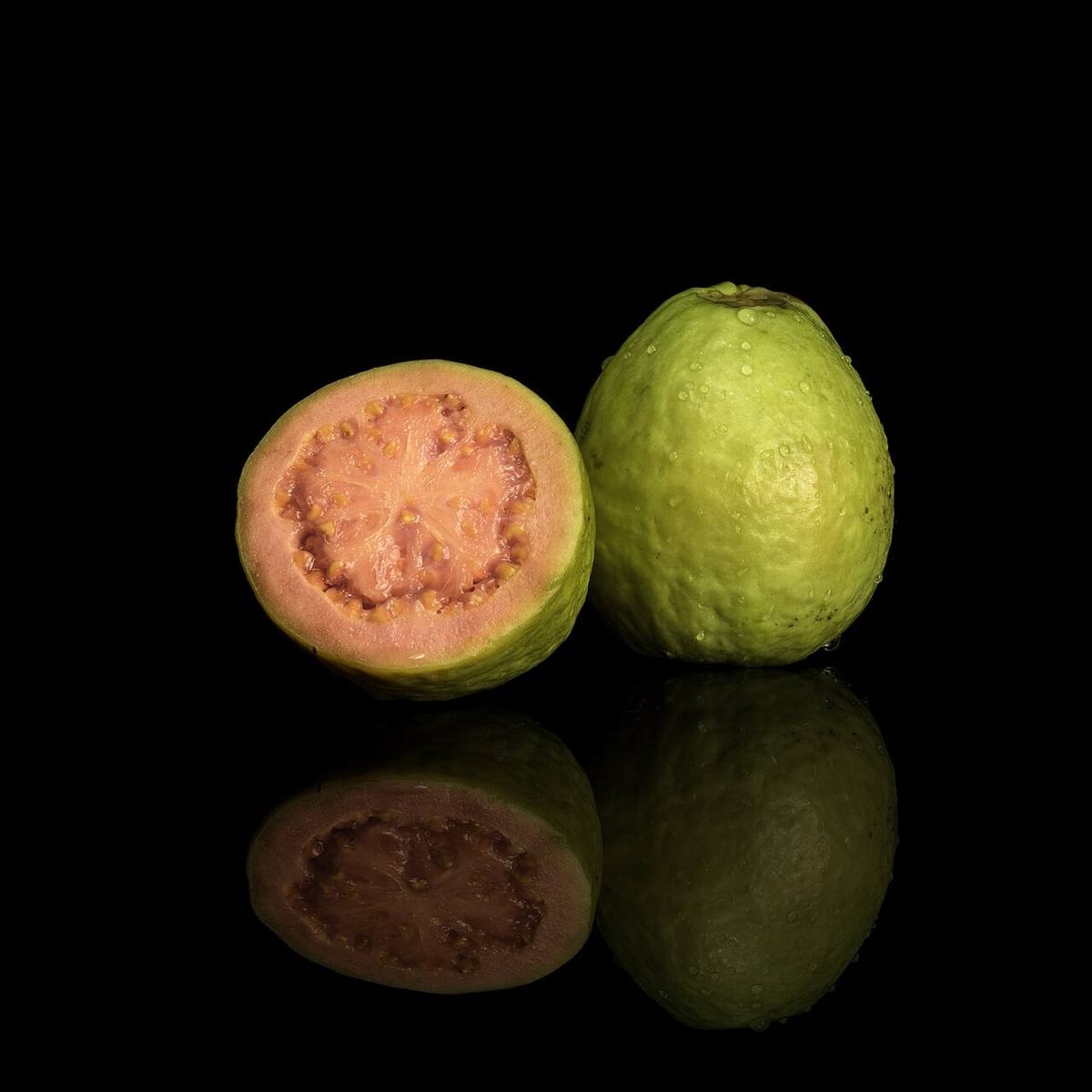 Fallen Psidium guajava leaf LR (Guava)