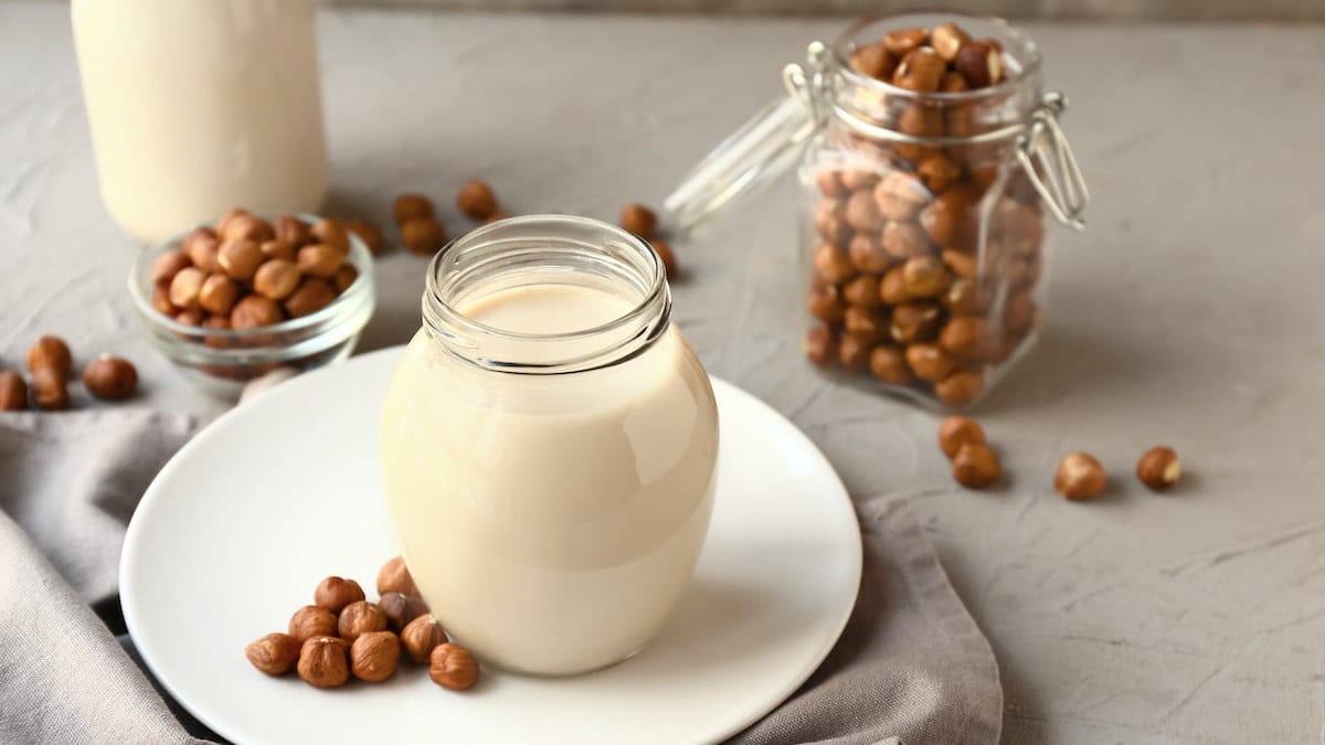 Fresh hazelnut milk
