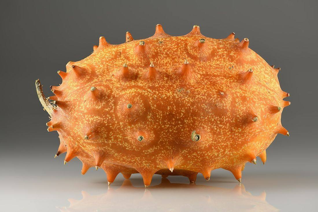 Cucumis metuliferus whole fruit (Kiwano)