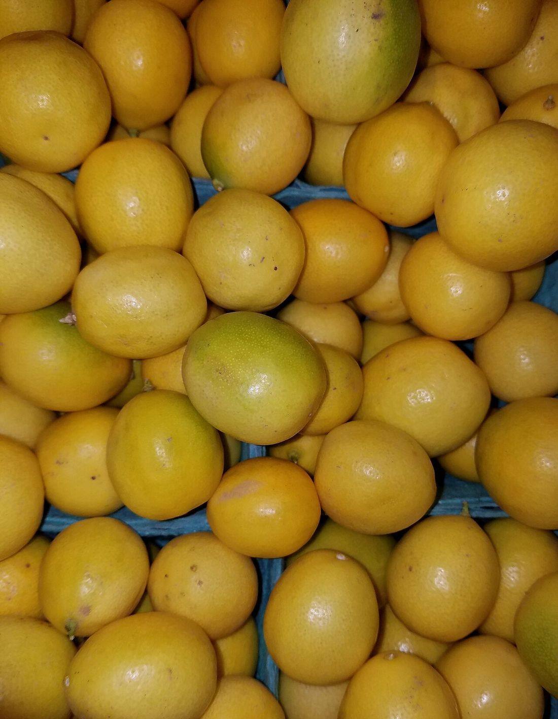 Limequats - Boston, MA