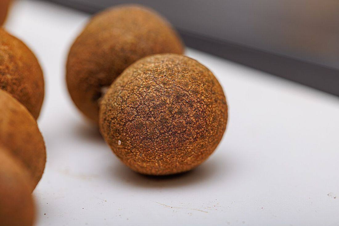 Dimocarpus longan