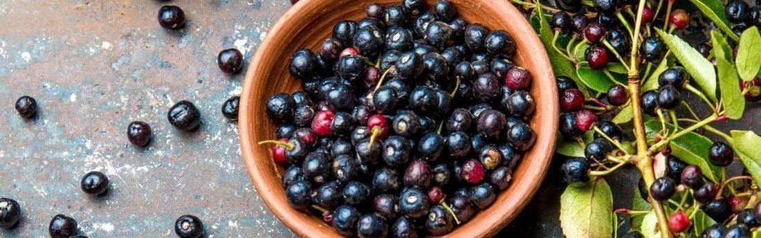 maqui berries