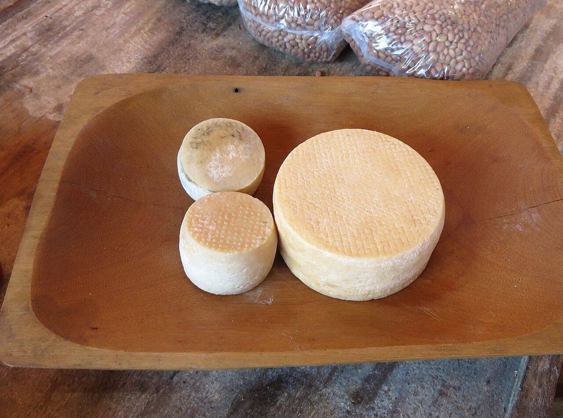 Cheese of Brazil (Minas Cheese)