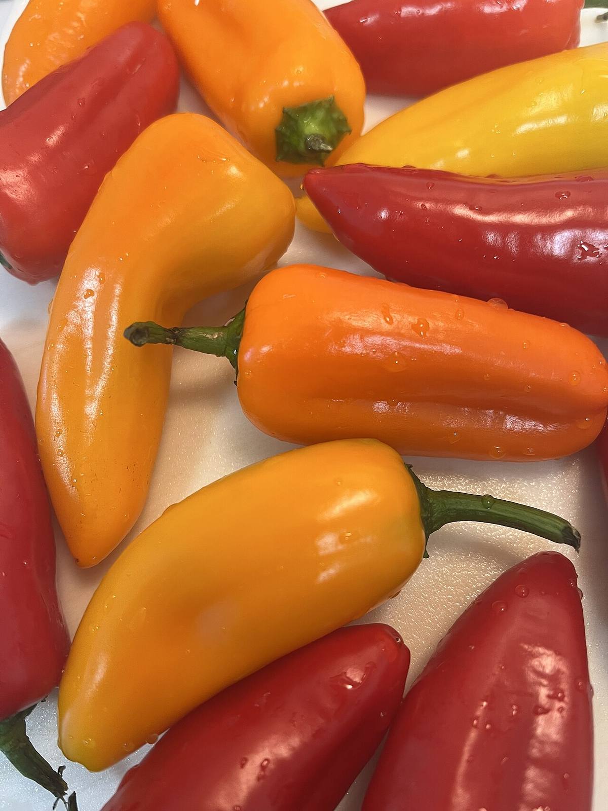 At London 2024 262 (Mini Sweet Peppers)