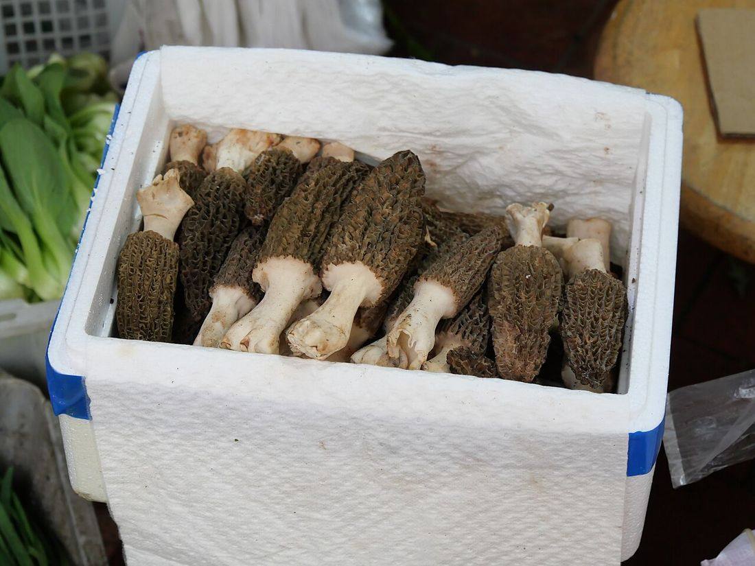 A box of morels in the market
