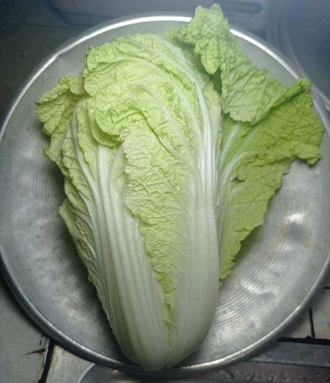 Napa Cabbage — photograph from Wikimedia Commons