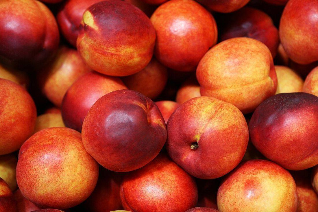Nectarines 3