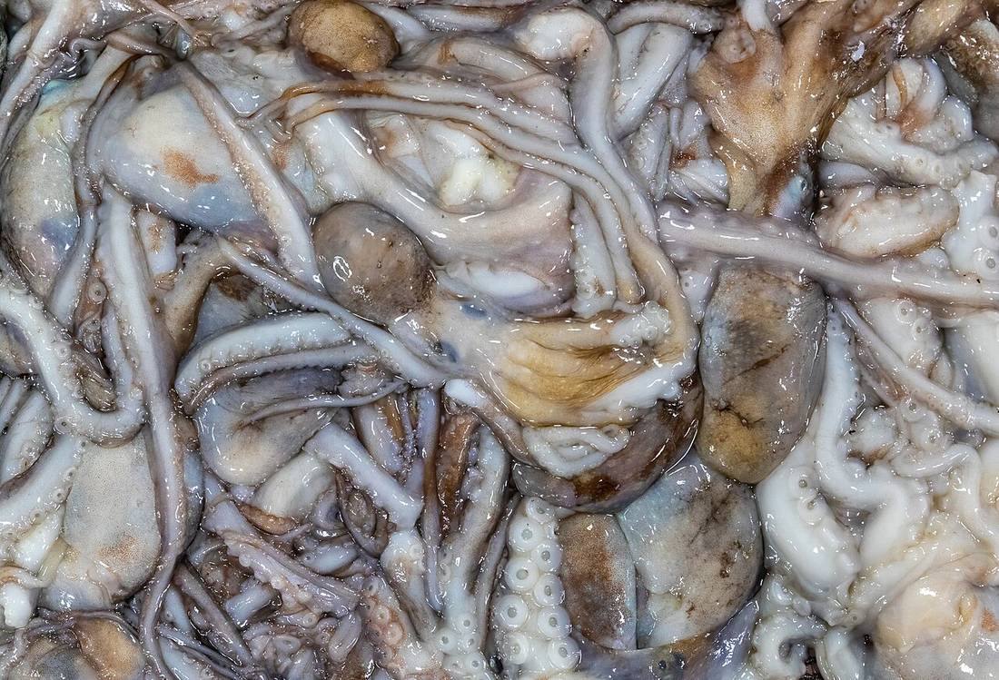 Octopus as food at Noryangjin Fisheries Wholesale Market in Seoul South Korea