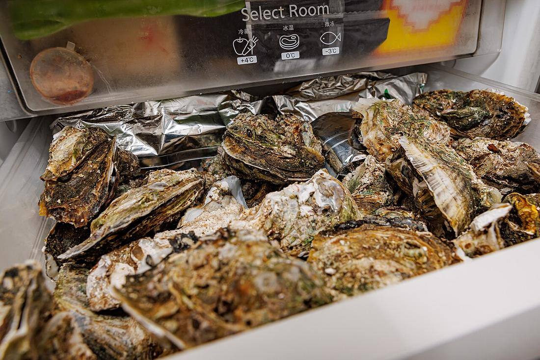SOME OYSTERS IN REFRIGERATOR