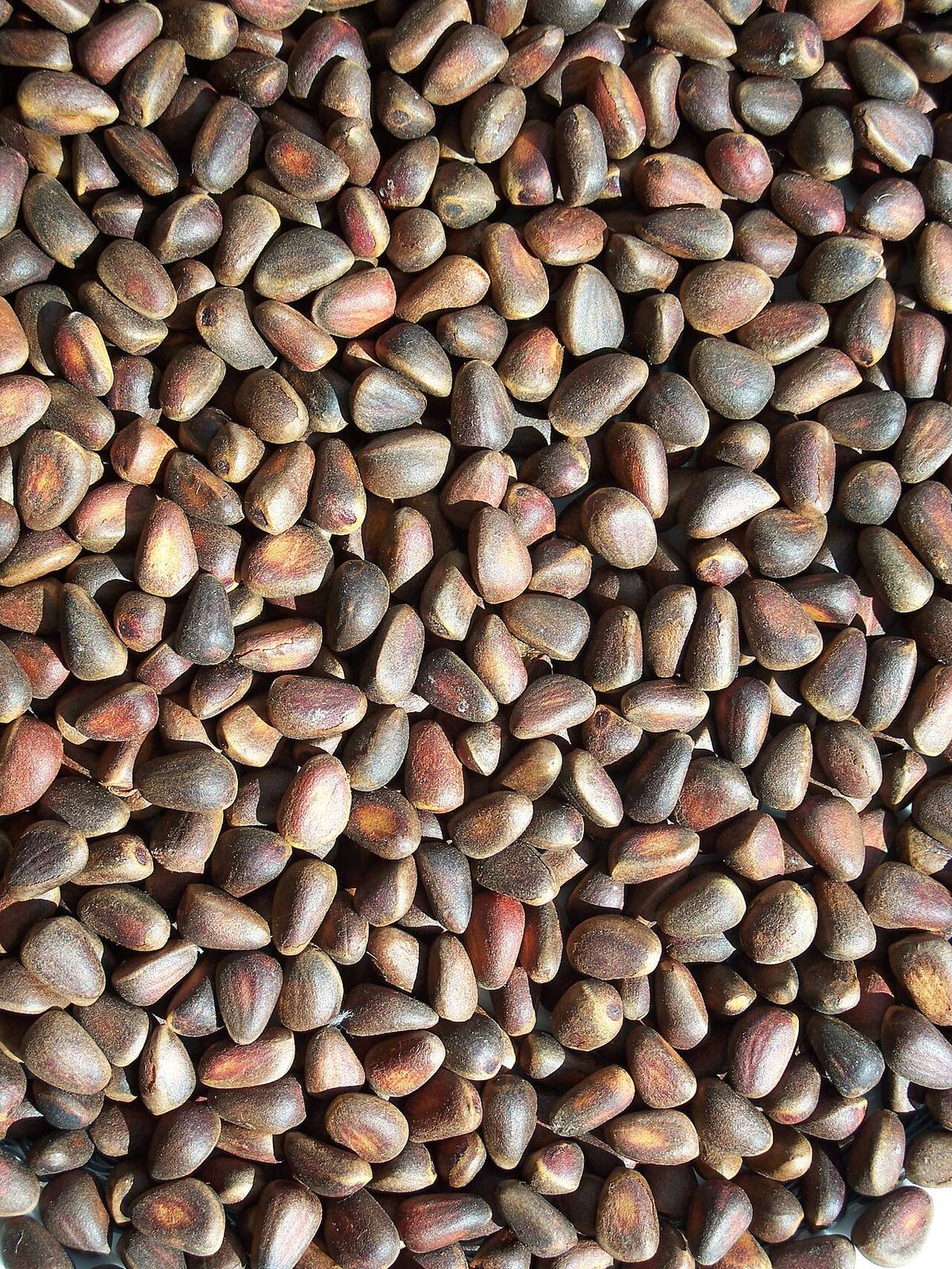 Ponte dei Pignoli (Venice) (Pine Nuts)