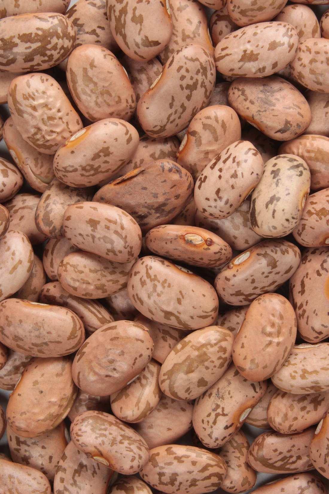 Pinto beans 1