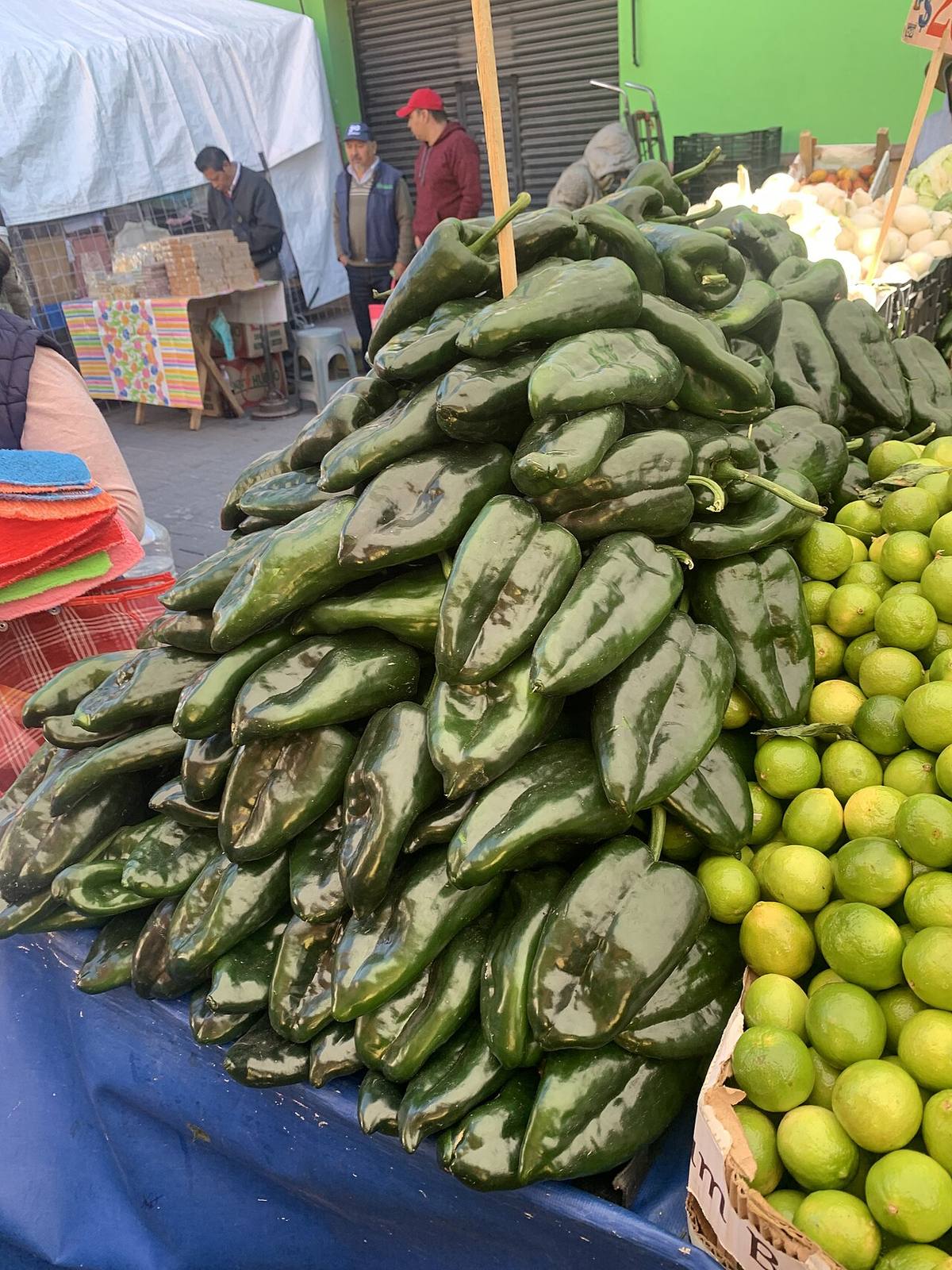 Los Poblanos farm