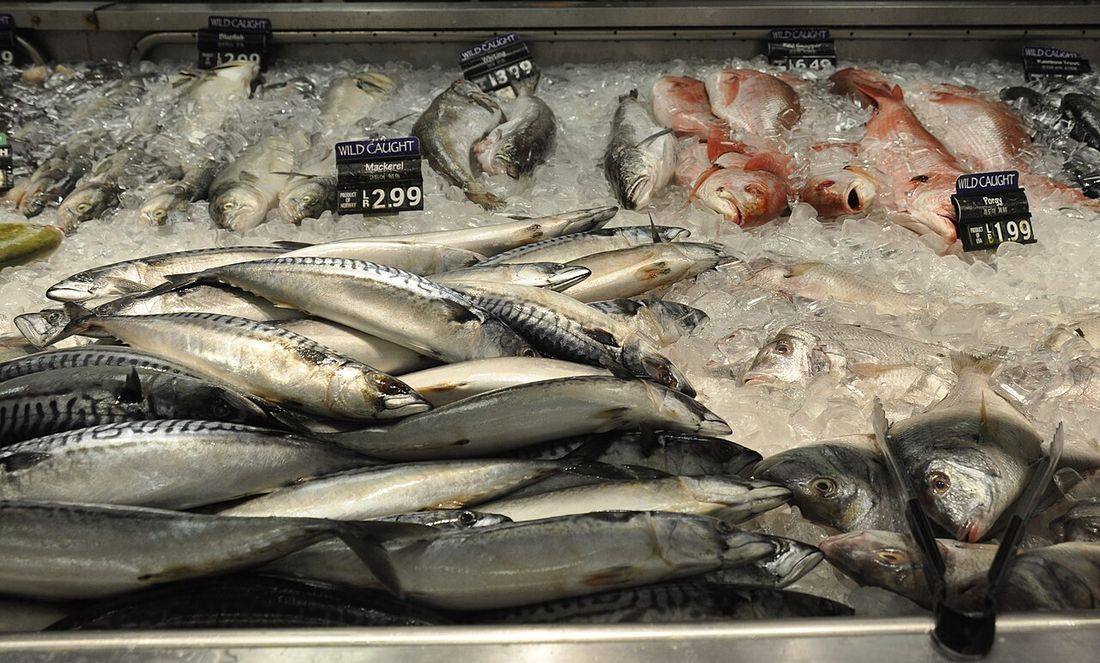 H-mart - fish department - Mackerel - 2 (Porgy)