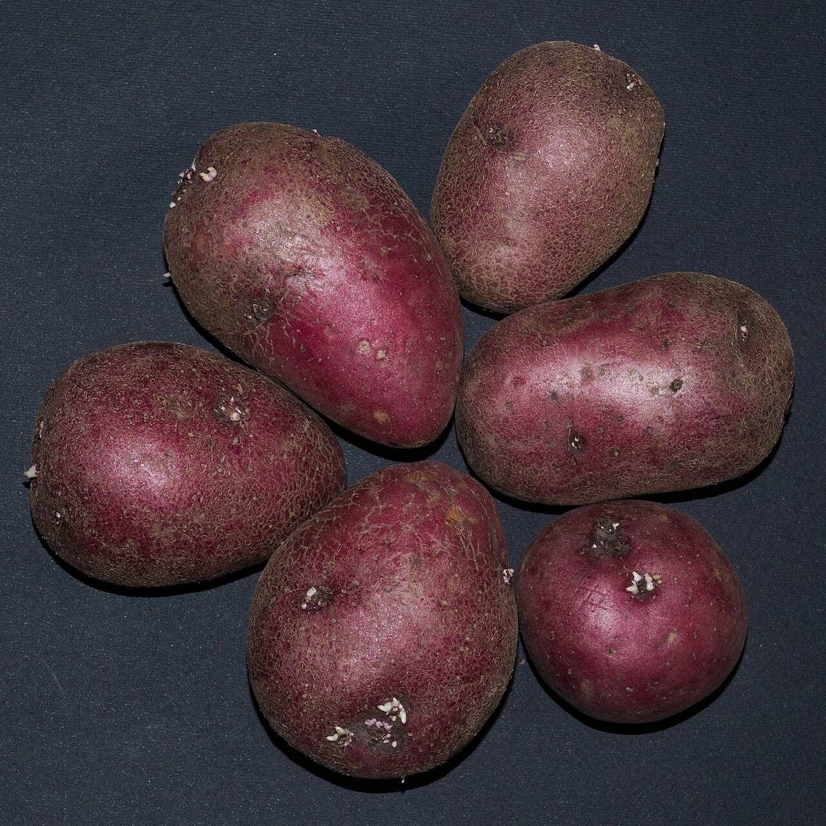 Raw potatoes in a basket