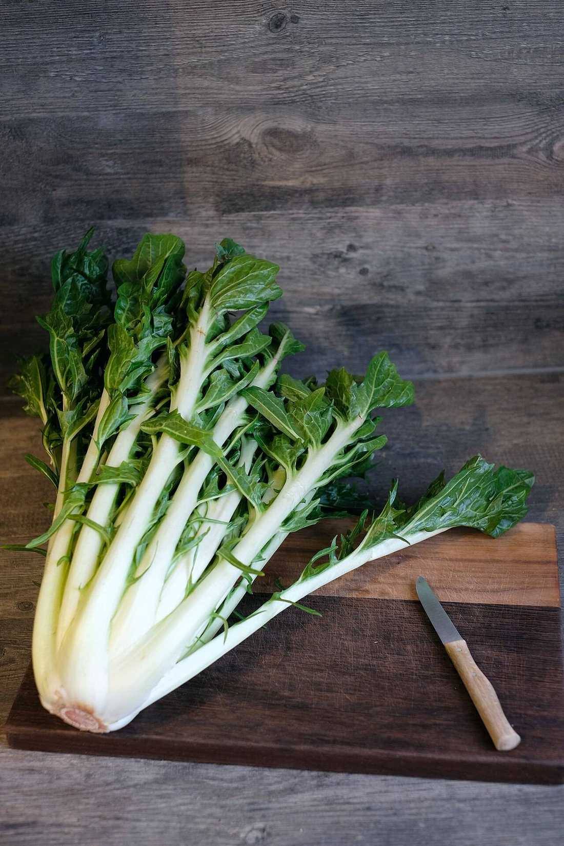 Puntarelle vor der Zubereitung