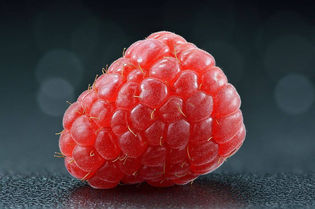 Raspberry - whole (Rubus idaeus) (Raspberries)