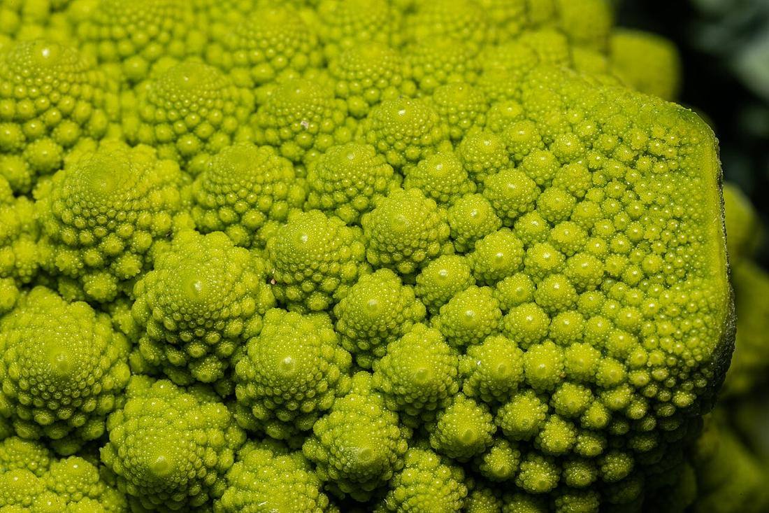 Romanesco -- 2021 -- 5771