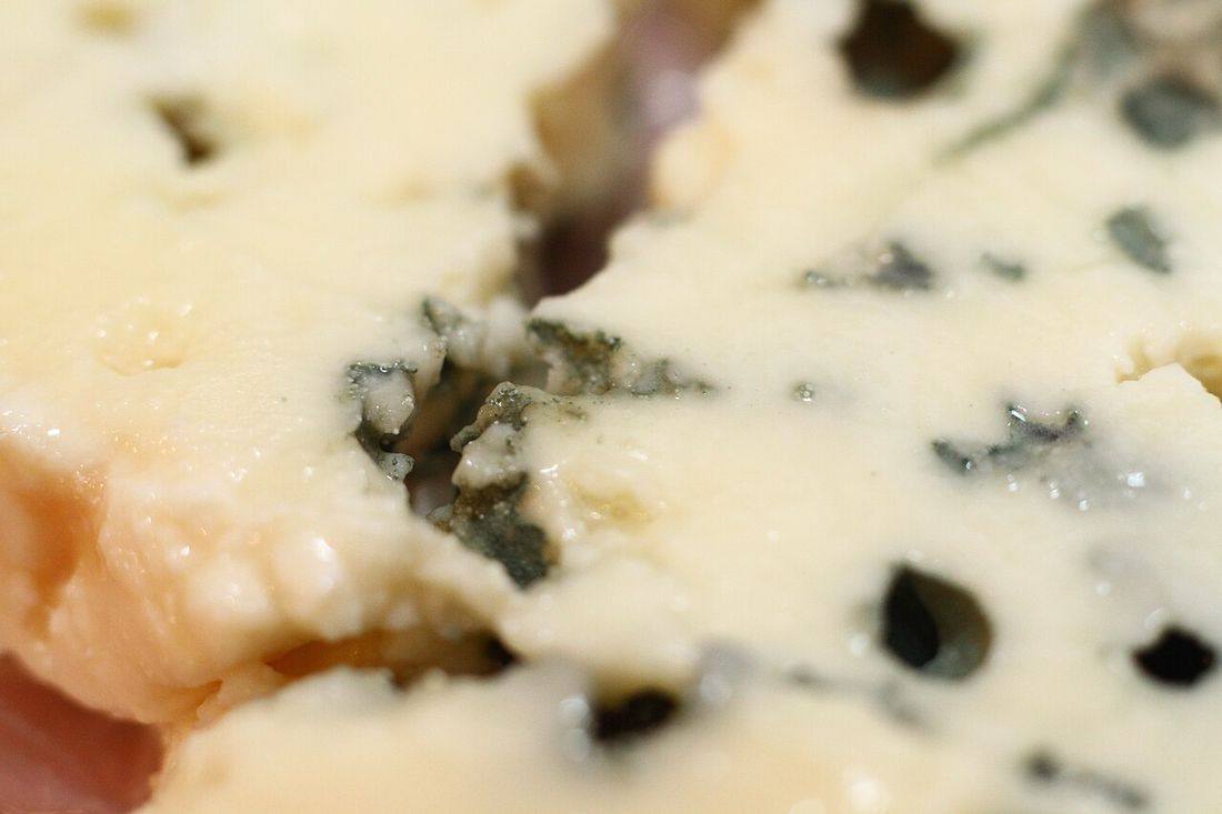 Roquefort closeup